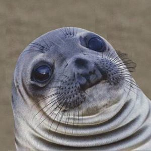 Meet your Posher, Willow